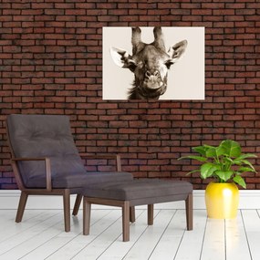 Tablou - Portret de girafă, de epocă (70x50 cm)