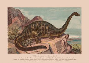 Ilustrație Brontosaurus excelsus, Late Jurassic epoch, chromolithograph,, ZU_09