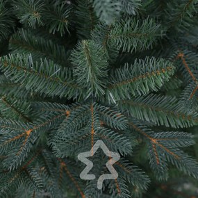 Molid Argintiu 220 cm