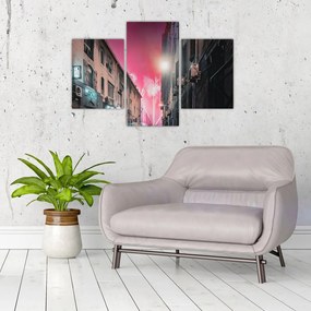 Tablou - Artificii din Marseille (90x60 cm)