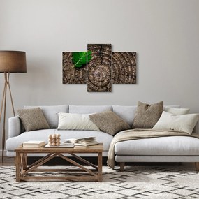 Tablou cu frunză pe trunchi de copac (90x60 cm)