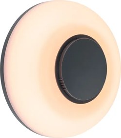Paulmann 94955 - LED/20,5W IP65 Aplică de perete pentru exterior reglabilă AUREVA 230V