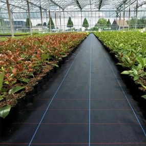 Agrotextil negru 90g/m 1,1x100m + 100 de ace