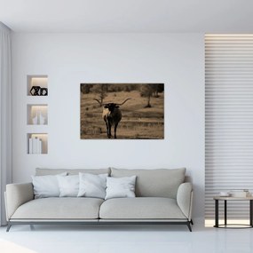 Tablou - Vacă din Texas (90x60 cm)