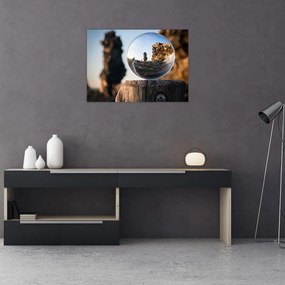 Tablou pe sticlă cu lupa și peisaj (70x50 cm)