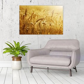 Tablou - Spice de cereale (90x60 cm)