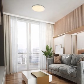 Plafonieră LED Rabalux 71053 OSWALD LED/24W/230V 4000K d. 40 cm