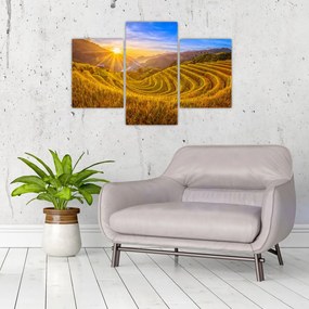 Tablou - Terasele de orez din Vietnam (90x60 cm)