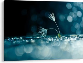 Tablou - Macro (70x50 cm)