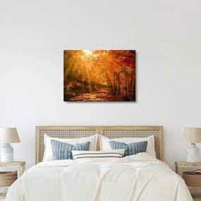 Tablou cu pădurea în toamnă (70x50 cm)