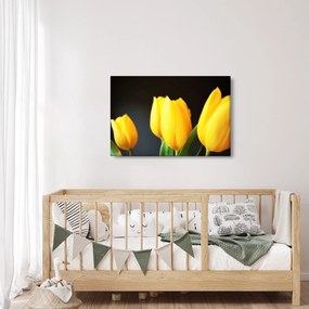 Tablou cu lalele (90x60 cm)