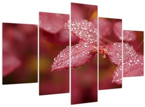 Tablou - Imagine macro a biletului (150x105 cm)