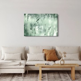 Tablou - Pajiște verde (90x60 cm)