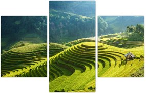 Tablou - Concert Terase de orez (90x60 cm)