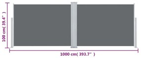 Copertina laterala retractabila, antracit, 100 x 1000 cm Antracit, 100 x 1000 cm
