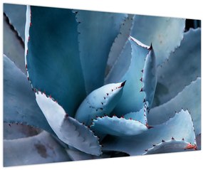 Tablou - Agave (90x60 cm)