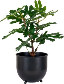 Plantă artificială Smochin Fidoria (verde). Promo -15%. 1146639