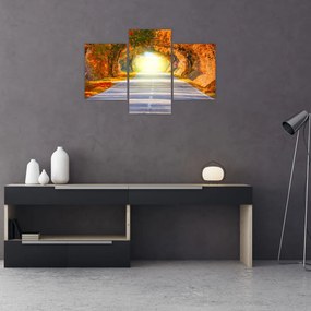 Tablou - Poarta din copaci (90x60 cm)