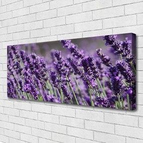 Tablou pe panza canvas Flori Floral violet