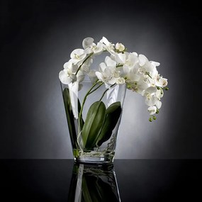 Aranjament floral elegant TROPICAL PLANT 1141378.95