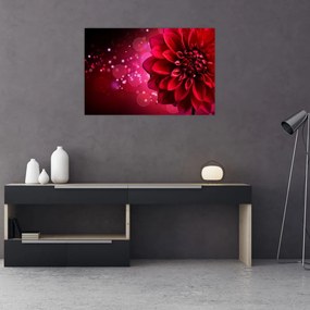 Tablou cu floare roșie (90x60 cm)