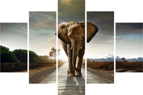 Tablou cu elefant (150x105 cm)