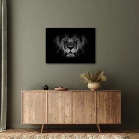 Tablou - Leu majestic (70x50 cm)