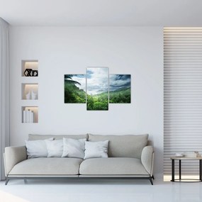 Tablou -Jungla din Seychelles (90x60 cm)