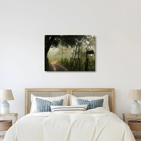 Tablou cu ceața de dimineața (70x50 cm)