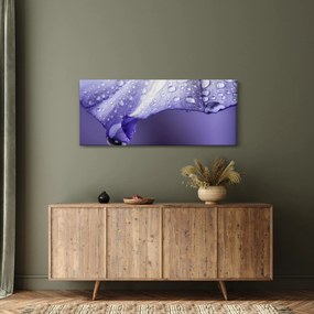 Tablou - Petală cu picături (120x50 cm)