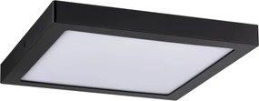 Plafonieră ABIA 230V LED/22W Paulmann 70985