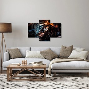 Tablou cu tigrul dormind (90x60 cm)