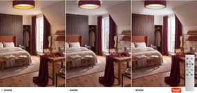 Brilagi-LED corp de iluminat dimabil, mărime L, SM. ST., 36W/230V 3000-6000K pr. 55 cm vișiniu/auriu WT+DO