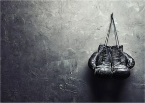Tablou - Mănuși de box (70x50 cm)