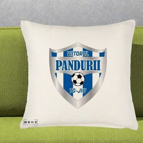 Perna Personalizata Pandurii Targu Jiu Fotbal, 40x40 cm, Crem Reliefat, Husa Detasabila, Perna Inclusa, BEKZ®