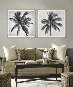 Tablou Framed Art Palm Splendor II