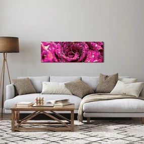 Tabloul cu floarea trandafirului roz (cu ceas) (90x30 cm)