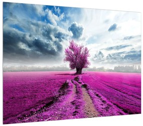 Tablou cu câmp de flori (70x50 cm), în 40 de alte dimensiuni noi