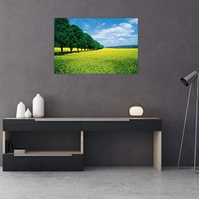 Tablou - Câmp cu alei (90x60 cm)