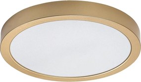 Rabalux 75079 - Plafonieră LED pentru baie SHAUN PLUS, 30W/230V, Ø 30 cm, IP44, auriu