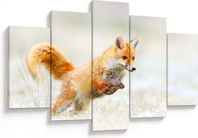 Tablou - Vulpe care sare (150x105 cm)