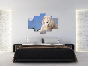 Tablou - Leu alb (150x105 cm)