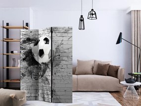 Paravan - Dynamic Football [Room Dividers]