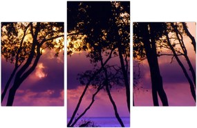 Tablou - Copaci la apus de soare (90x60 cm)