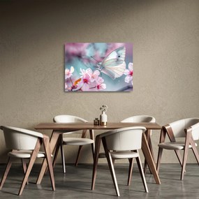 Tablou pe sticlă - Fluture pe un cireș (70x50 cm)