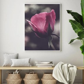 Poster - Floarea de trandafir (A4)