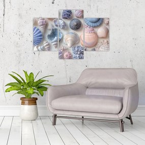Tablou - Colecție de scoici (90x60 cm)
