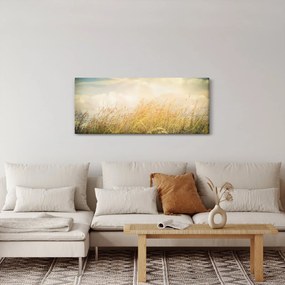 Tablou - Câmp toamna (120x50 cm)