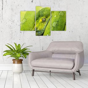 Tablou cu șarpe (90x60 cm)