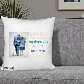 Cadou pentru Bunici - Perna Personalizata Bunicii Sursa Intelepciune Caldura Acuarela, 40x40 cm, Alb Pufos, Husa Detasabila, Perna Inclusa, BEKZ®